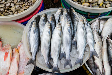 Close up many of fish delicious seafood in seafood market.