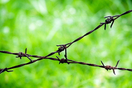 Barbed wire on out of focus green grass background.の写真素材