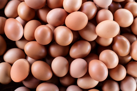Close up many hen egg lay in top view shot.の写真素材
