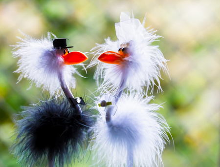 Just Married in love action. Sweetheart  falling in sweet dream.の写真素材