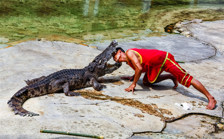 SAMUTH PRAKARN,THAILAND - DECEMBER 25, 2012 : The Crocodile huntsman , The Dangerous show .のeditorial素材