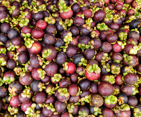 Closeup and top view shot. Mangosteen, The queen of fruits, sweet and more benefit healthy.の写真素材