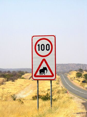 Speed limit - elephants can cross the road, Namibiaの写真素材