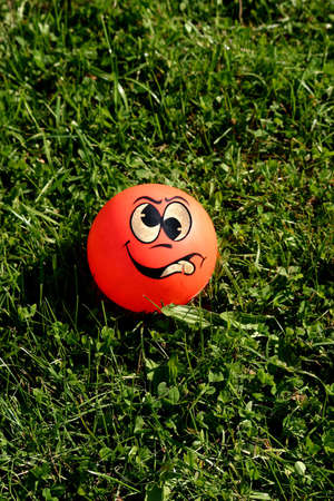 Real crazy ball on the grassの写真素材