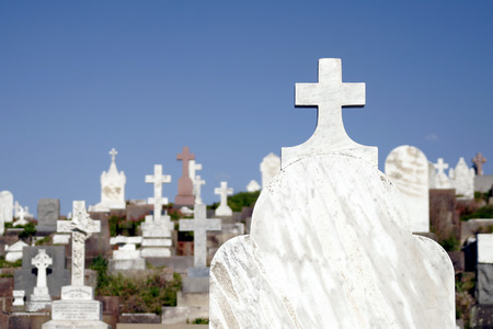 Old Large Cemetery With Many Graves and Gravestones During Daylight In Sydney Australia