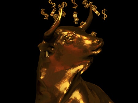 bull marketの写真素材