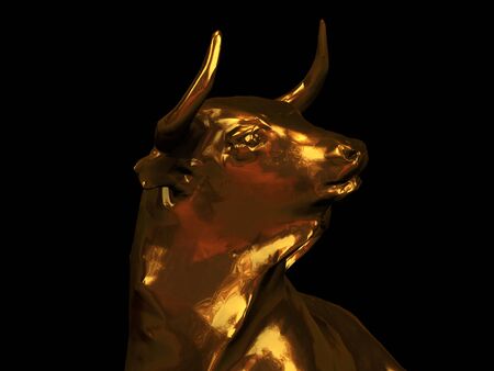 bull marketの写真素材