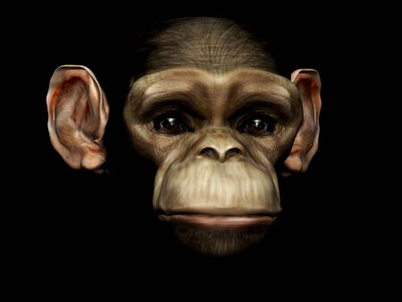 monkey 3d