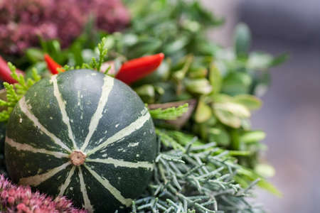 Flower arrangement with a pumpkinの写真素材