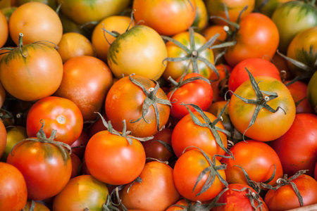 Fresh tomatoes on a marketの写真素材