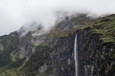 Crystalized ice over moss in morning lightの写真素材