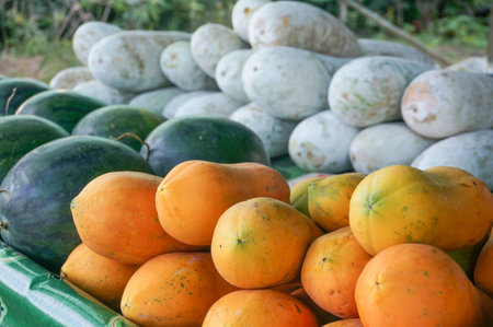 Fresh papayas in farmer market on streetの写真素材
