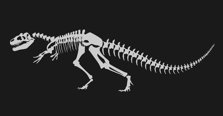 Illustration of dinosaur bonesのイラスト素材