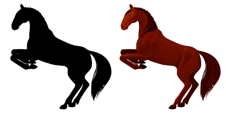 illustration of chestnut rearing horse. Isolated detailed picture of beautiful animal and its silhouette on .のイラスト素材