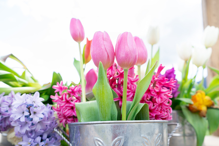 Close up view of a flower arrangement of tulips and other flowers in a vintage tin can, with very bright daylight and a white background.の写真素材