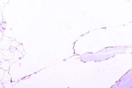 Purple and white marble pattern, showing white background with purple veins, or grains, in the marble slate. This is a cut marble slate used as countertop material, modified in color.の写真素材