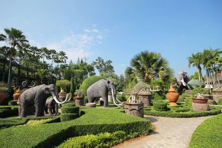 Nongnooch garden, Pattaya Thailandの写真素材