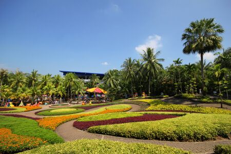 Nongnooch garden, Pattaya Thailandの写真素材