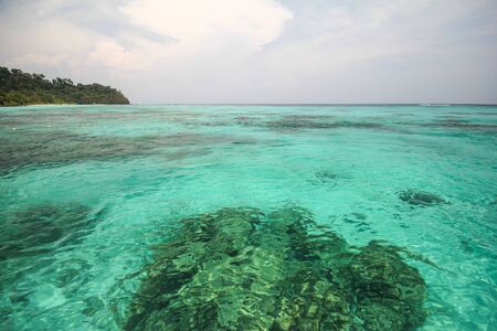 Rok island, Koh Rok, Trang province Thailandの写真素材