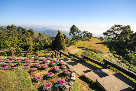 Huai Nam Dang National Park, Chiang Mai, Thailandの写真素材