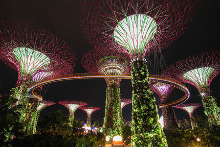 The Supertree at Gardens by the Bayのeditorial素材