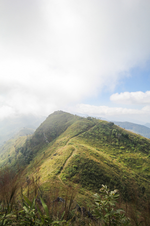 Doi Pha Tang, Chiang Rai Thailandの写真素材