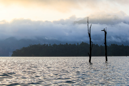 KHAO SOK National Park, Suratthani Thailand