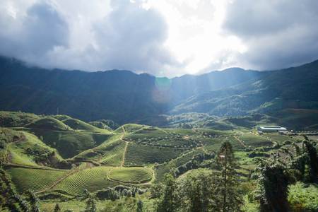 Rice fields on terraced of Sapa, Sapa District, Lao Cai Province,  Northwest Vietnamの写真素材