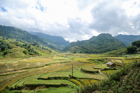 Rice fields on terraced of Sapa, Sapa District, Lao Cai Province,  Northwest Vietnamの写真素材