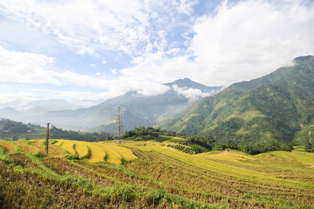 Rice fields on terraced of Sapa, Sapa District, Lao Cai Province,  Northwest Vietnamの写真素材