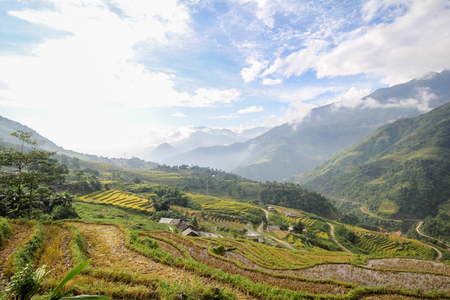 Rice fields on terraced of Sapa, Sapa District, Lao Cai Province,  Northwest Vietnamの写真素材