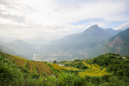 Ban Ho Village, Sapa District, Lao Cai Province, Northwest Vietnamの写真素材