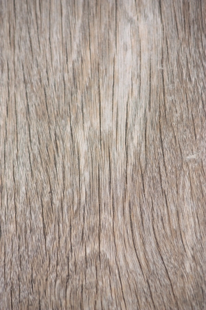 Real wood textureの写真素材