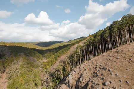 View from The Hakone-seiroku Mishima Grand Suspension Bridgeの写真素材
