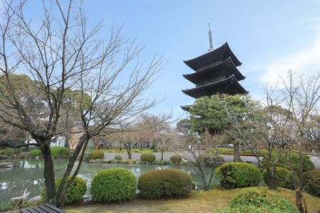 Toji temple in winter, kyoto, japanのeditorial素材