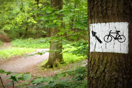 Bicycle path through the park, the sign on the treeの写真素材