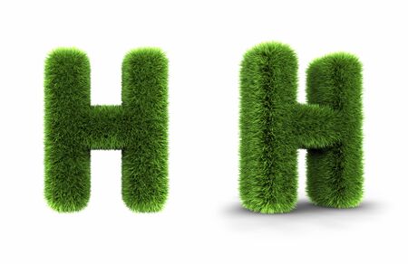 Grass letter h, isolated on white backgroundの写真素材