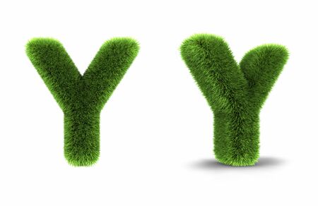 Grass letter y, isolated on white backgroundの写真素材