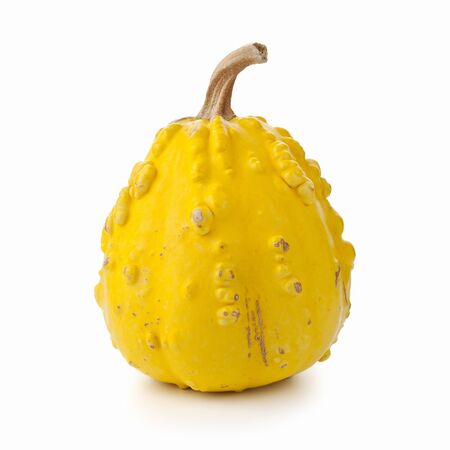 Yellow decorative pumpkin isolated on white backgroundの写真素材