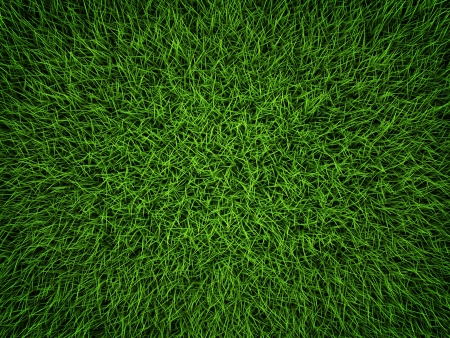 Green grass field background  Top view, 3d renderの写真素材