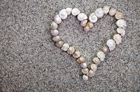 Shells heart on beach background. Summer composition with copy space. Top viewの写真素材