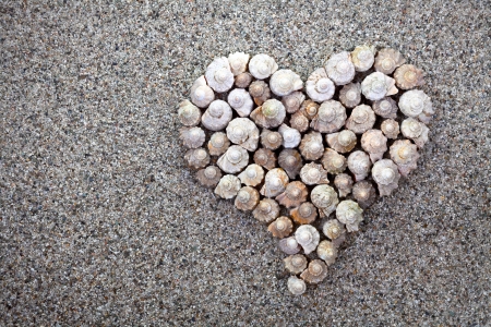 Sea shells heart on sandy beach background. Summer composition with copy space. Top view
の写真素材