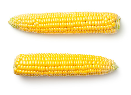 Corn ears isolated on white background. Top viewの写真素材