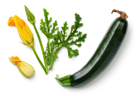 Green zucchini with leaf and flower isolated on white background Top viewの写真素材