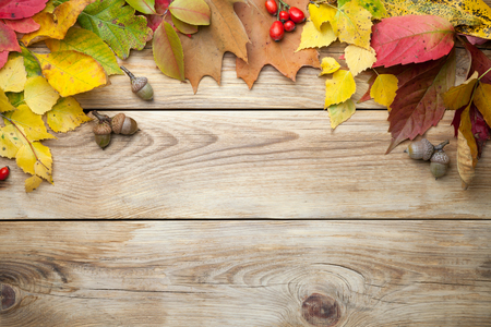 Autumn leaves and acorns on wood background. Copy space. Top viewの写真素材