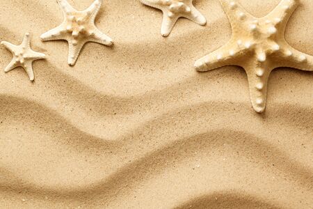 Starfishes on sand background. Top view. Flat layの写真素材