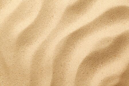 Wavy sand background for summer designs. Flat lay, top viewの写真素材