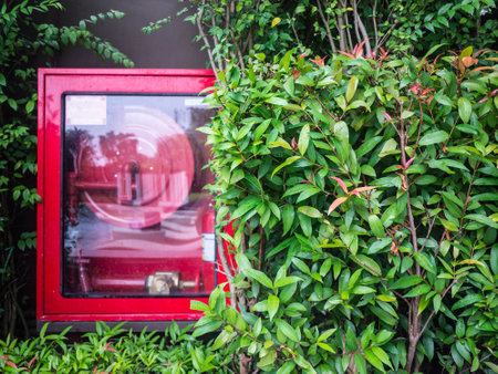 Fire fighter equipment in the gardenの写真素材