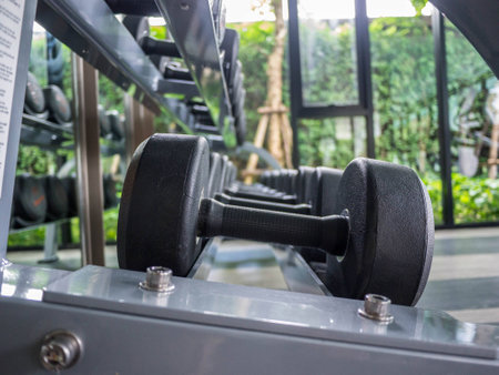 Weights, many black dumbbell in fitness room (gym, fitness, equipment)の写真素材