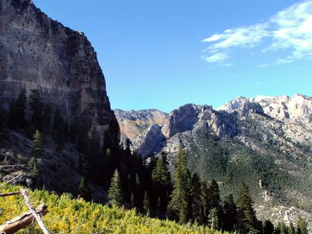 The slope of Mt. Charleston in Nevada.の写真素材